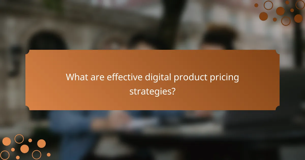 What are effective digital product pricing strategies?